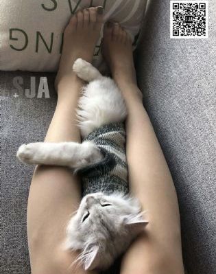 亚洲欧美在线视频区图片区_BD国语免费在线播放
