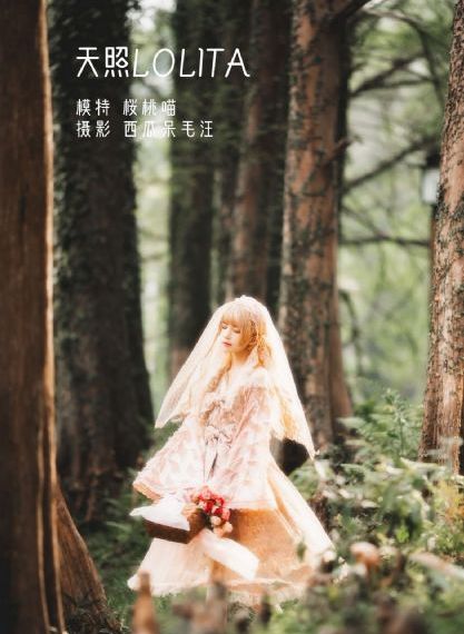 无码免费媓a片九色在线观看视频_HD动漫在线观看
